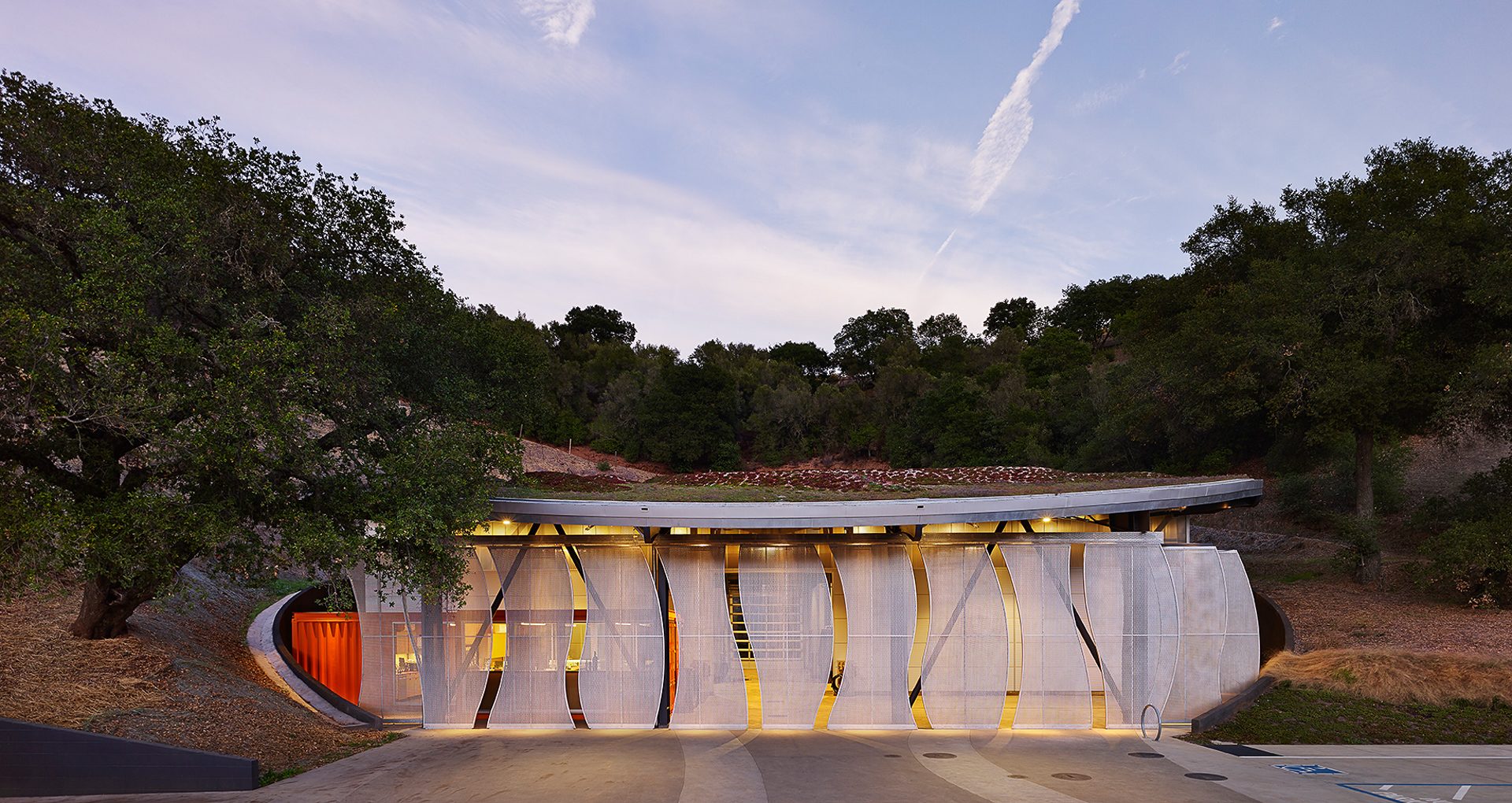 Odette Estate酒厂的生产车间,2017年美国建筑工业建筑设计奖得主. ©Adrian Gregorutti