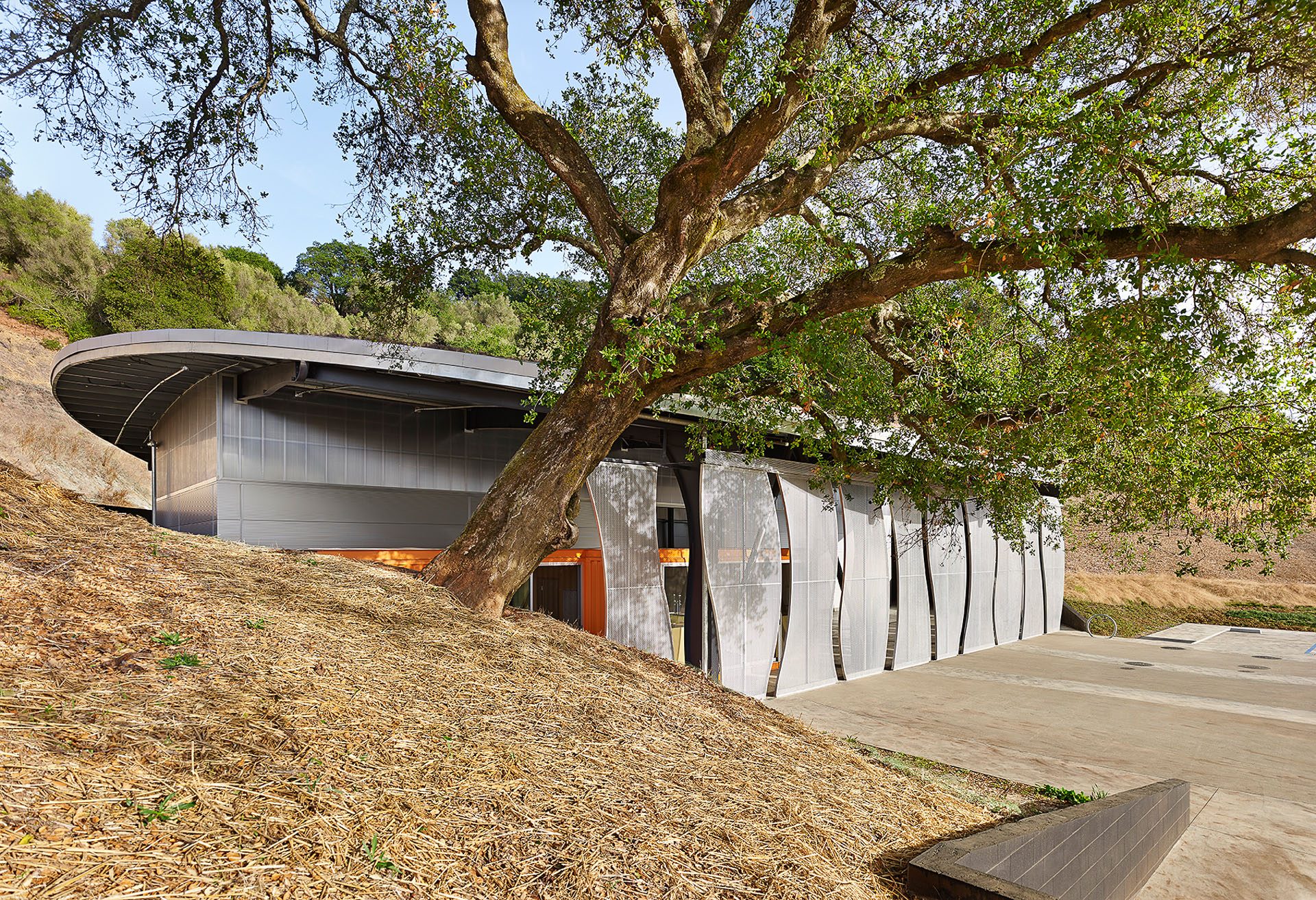 Odette Estate酒厂的生产车间,2017年美国建筑工业建筑设计奖得主. ©Adrian Gregorutti